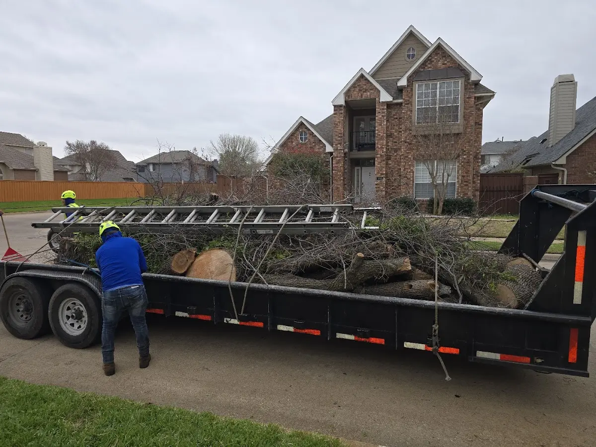Expert Lot Clearing with proper safety equipment in Germantown
